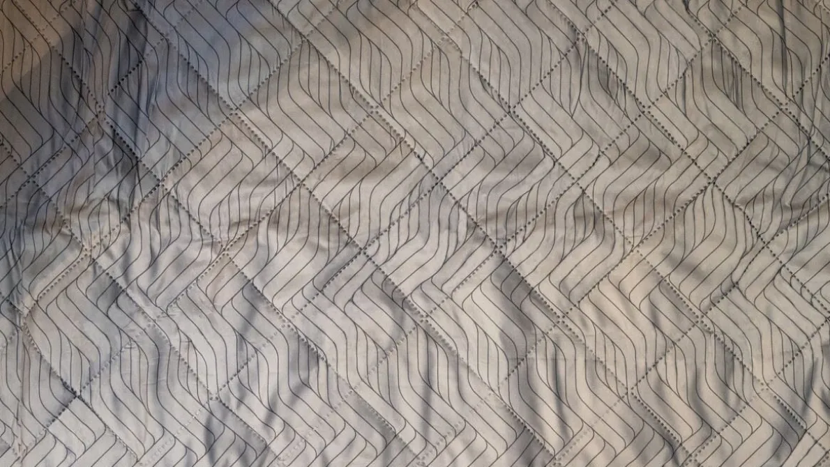Cozy Carpet Denver 6