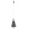 Epsilon Bulb