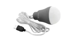 Epsilon Bulb