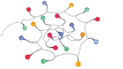 Gamma Light Chain