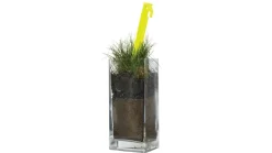 Guyline Peg Plastic