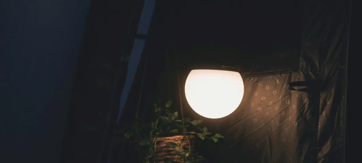 Rigel Lamp